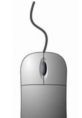 mouse